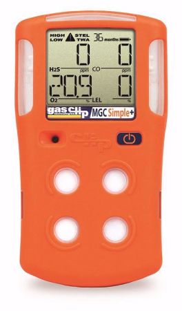 Picture for category Instrumentation/Gas Detection